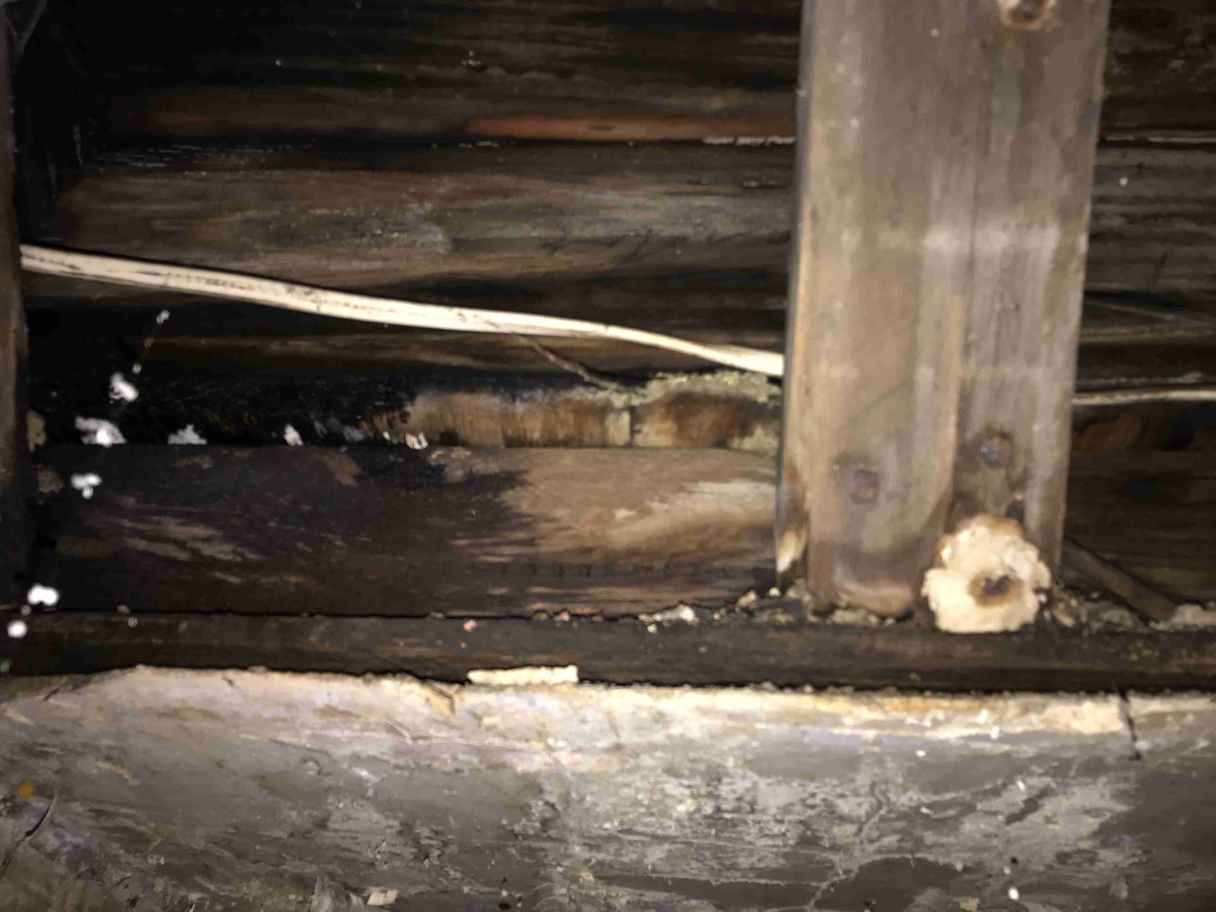 Photo Oct 13, 1 59 48 PM.jpg